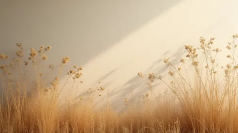 Ile kosztuje tapicerowanie krzesła Lublin
